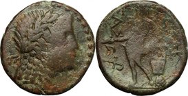 Sicily. Alaisa Archonidea. AE 18.5 mm, c. 208-186 BC. D/ Laureate head of Apollo right. R/ [ΑΛΑ] ΣΑΣ. Apollo standing left, holding laurel branch and ...