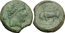Sicily. Messana. The Mamertinoi. AE Quadruple, c. 288-278 BC. D/ ΑΡΕΟΣ. Laureate head of Ares right; helmet behind. R/ ΜΑΜΕΡΤΙΝΩΝ. Bull butting left. ...