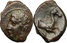 Sicily. Panormos. AE 14.5 mm, c. 336-330 BC. D/ Laureate head of Apollo left. R/ Forepart of horse right, dolphin below. CNS 12; SNG ANS -. AE. g. 2.0...