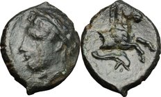 Sicily. Panormos. AE 19 mm, c. 336-330 BC. D/ Laureate head of Apollo left. R/ Forepart of horse right, dolphin below. CNS 12; SNG ANS -. AE. g. 1.47 ...