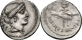 Albinus Bruti f. AR Denarius, 48 BC. D/ PIETAS. Head of Pietas right. R/ Two hands clasped round winged caduceus; below, ALBINVS BRVTI F. Cr. 450/2. B...