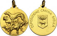 Medaglia per l'Esposizione Canina di Biella. AE dorato. mm. 37.30 Inc. Morbiducci. Appiccagnolo. SPL.