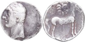 218-210 aC. II Guerra Púnica. Dominación Cartaginesa. Ceca militar móvil. Siclo. AB.536. Ag. 6,84 g. Cabeza de Tanit a izquierda. /Caballo y palmera. ...