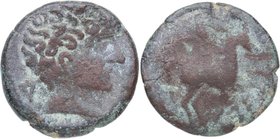 120-20 aC. Cesse/Tarraco. As. Cu . 7,97 g. Cabeza masculina descubierta a la derecha, detrás letra ibera “Du"
  /Jinete con palma al galope a la derec...