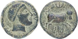 50 aC. ASIDO, actual Medina Sidonia ( Cadiz). As. AB 153. Ae. 12,98 g. Cabeza masculina a derecha, delante ASIDO /Toro a derecha, encima creciente y e...