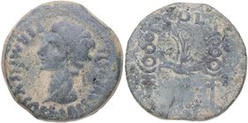 27 aC-14 dC. Augusto y Agripa. Colonia Patricia. Dupondio. FAB 1988. Ae. 19,51 g. PERMISSV CAESARIS AVGVSTI, Cabeza de Augusto descubierta a la izquie...