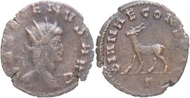 267-268 dC. Galieno. Roma. Antoniniano. RIC 181 var. Ae. 2,13 g. GALLIENVS AVG, cabeza de Galieno a derecha /DIANAE CONS AVG, antílope caminando a la ...