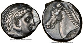 SICULO-PUNIC. Sicily. Ca. 300-289 BC. AR tetradrachm (24mm, 17.30 gm, 9h). NGC XF 4/5 - 5/5. Quaestors issue. Head of young Heracles right, wearing li...