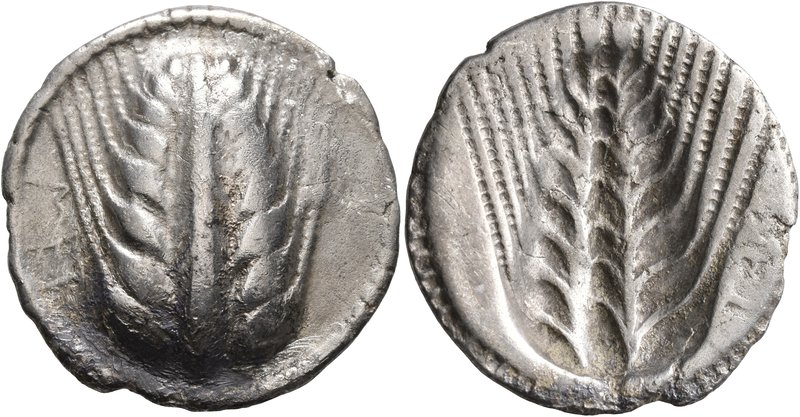 LUCANIA. Metapontion. Circa 540-510 BC. Nomos (Silver, 28 mm, 7.49 g, 12 h). MET...