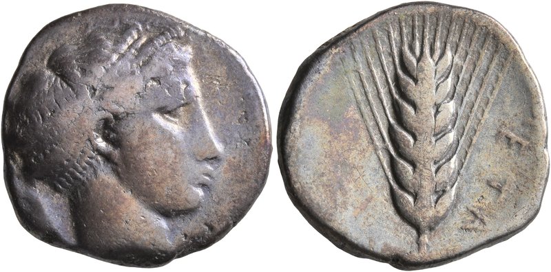 LUCANIA. Metapontion. Circa 430-400 BC. Didrachm or Nomos (Silver, 22 mm, 7.53 g...