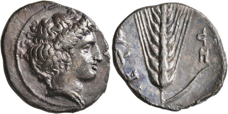 LUCANIA. Metapontion. Circa 400-340 BC. Didrachm or Nomos (Silver, 23 mm, 7.43 g...