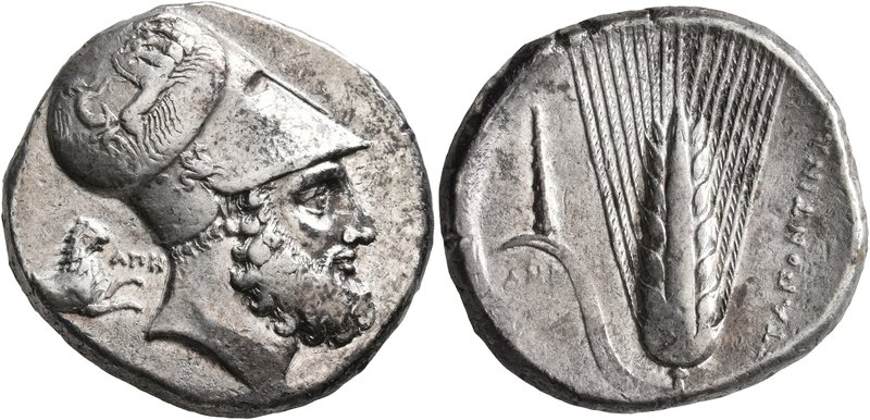LUCANIA. Metapontion. Circa 340-330 BC. Distater (Silver, 26 mm, 15.83 g, 12 h)....