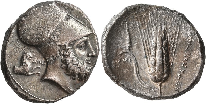 LUCANIA. Metapontion. Circa 340-330 BC. Distater (Silver, 27 mm, 15.66 g, 2 h). ...