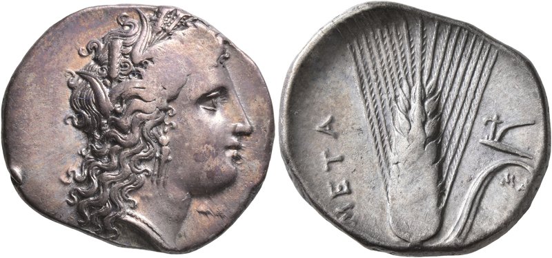 LUCANIA. Metapontion. Circa 330-290 BC. Didrachm or Nomos (Silver, 23 mm, 7.92 g...