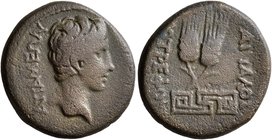 PHRYGIA. Apameia. Augustus, 27 BC-AD 14. Assarion (Bronze, 23 mm, 6.12 g, 5 h), Attalos, son of Diotrephos, magistrate. AΠAMEΩN Bare head of Augustus ...