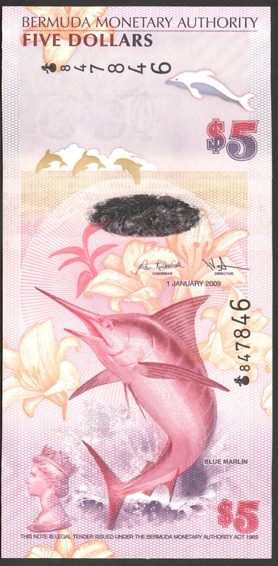 Bermuda 5 Dollars 2009

P# 58; UNC; Hybrid