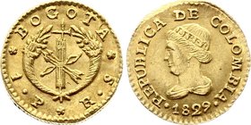Colombia Peso 1829 RS Bogota

Restrepo 160.9. Bogota Mint. Gold. UNC. Rare Coin.