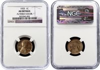 United States 1 Cent 1925 NGC AU Details

KM# 132; "Lincoln - Wheat Ears Reverse"; Altered Color