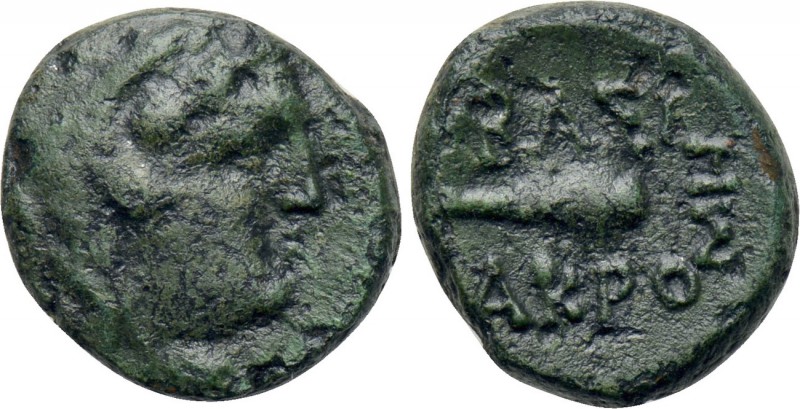 KINGS OF SKYTHIA. Akrosas (Circa 150-100 BC). Ae. Me-, magistrate. 

Obv: Head...