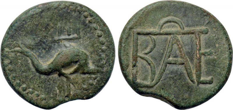 KINGS OF BOSPOROS. Polemo I (Circa 14/3-10/9 BC). Ae. 

Obv: Dolphin right ove...