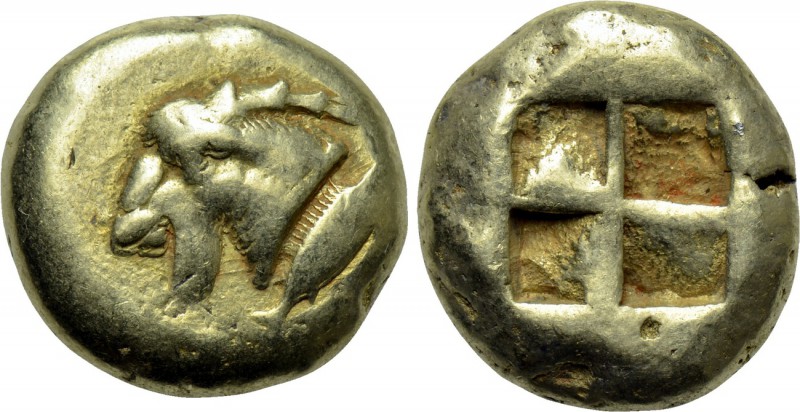 MYSIA. Kyzikos. EL Stater (Circa 550-500 BC). 

Obv: Head of goat left; to rig...