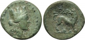 TROAS. Gargara. Ae (2nd-1st centuries BC).