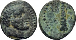 PISIDIA. Amblada. Ae (1st century BC).