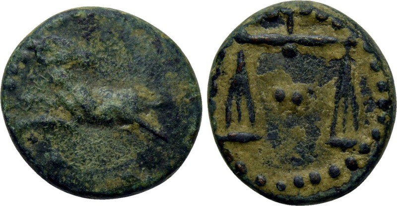 PHARAONIC KINGS OF EGYPT. Nektanebo II (361-343 BC). Ae. 

Obv: Ram leaping le...