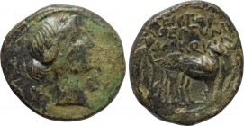 MACEDON. Pella or Dium. Augustus (27 BC-14 AD). Ae. M. Fictorius and M. Septimius, duoviri.