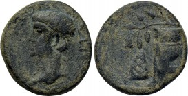 AEOLIS. Myrina. Nero (Caesar, 50-54). Ae.