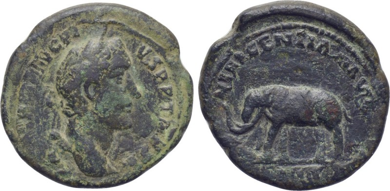 ANTONINUS PIUS (138-161). As. Rome. 

Obv: ANTONINVS AVG PIVS P P TR P XII. 
...