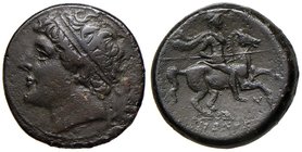SICILIA Siracusa - Gerone II (274-216 a.C.) Testa diademata di Gerone a s. - R/ Cavaliere con lancia su cavallo a d. - AE (g 17,41)
BB