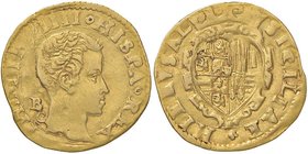 NAPOLI Filippo IV (1621-1665) Scudo d’oro sigla B C - cfr. MIR 237 AU (g 3,29) R
BB+