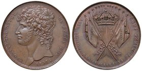 Anno 1809 - Per la distribuzione delle bandiere alle legioni provinciali Bronzo - 37,5 mm - 16,92 gr. - R - Opus: Filippo Rega - D’Auria n. 87 - Ricci...