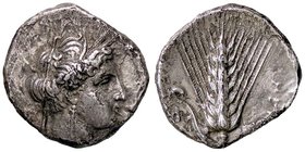 GRECHE - LUCANIA - Metaponto - Nomos - Testa velata di Demetra a d. /R Spiga d'orzo, a s. un topo, a d. META Mont. 2371 (AG g. 7,39)
BB+