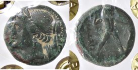 GRECHE - BRUTTIUM - Brettii - Emioncia ridotta - Busto diademato della Nike a s. /R Zeus andante a d. con fulmine e scettro Mont. 3164 var. (AE g. 3,5...