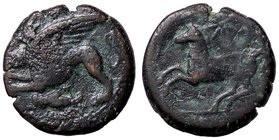 GRECHE - SICILIA - Kainon - AE 22 - Grifone di corsa a s., sotto una locusta /R Cavallo impennato a s., sopra stella, in esergo KAINON Mont. 4297; S. ...