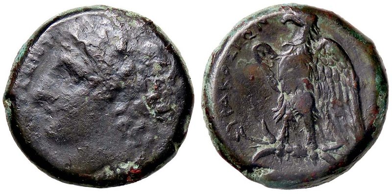 GRECHE - SICILIA - Siracusa - Icetas (287-278 a.C.) - AE 23 - Testa laureata di ...