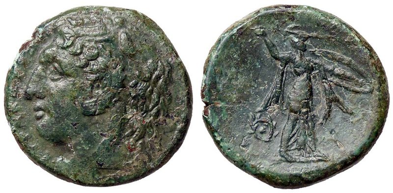 GRECHE - SICILIA - Siracusa - Pirro (278-276 a.C.) - AE 25 - Testa di Eracle a s...
