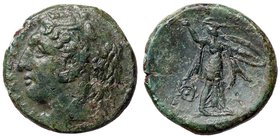 GRECHE - SICILIA - Siracusa - Pirro (278-276 a.C.) - AE 25 - Testa di Eracle a s., dietro una cornucopia /R Atena stante a d. con scudo e fulmine, die...