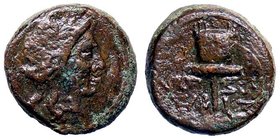 GRECHE - SICILIA - Siracusa - Dominio romano (212 a.C.) - AE 12 - Testa di Apollo a d. /R Apex (AE g. 2,81)
BB+