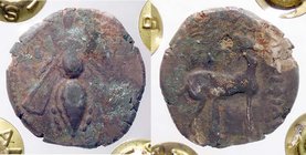 GRECHE - IONIA - Efeso - AE 16 - Ape /R Cervo a d.; dietro una palma Sear 4388 (AE g. 4,19) Sigillata Stefano Palma
MB-BB