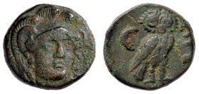 GRECHE - TROAS - Sigeion - AE 10 - Testa di Atena trequarti a d. /R Civetta stante a d. a s. crescente S. Cop. 495 (AE g. 1,88)
BB+