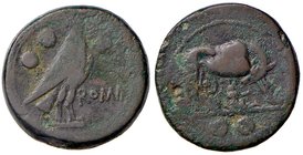 ROMANE REPUBBLICANE - ANONIME - Monete semilibrali (217-215 a.C.) - Sestante - La lupa a d. allatta Romolo e Remo; sotto, due globetti /R Aquila stant...