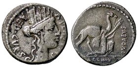 ROMANE REPUBBLICANE - PLAUTIA - A. Plautius (55 a.C.) - Denario - Testa di Cibele a d. /R Il Re Bacco inginocchiato ai piedi di un cammello verso d. B...