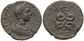 ROMANE PROVINCIALI - Caracalla (198-217) - AE 24 (Metropolis - Ionia) - Busto laureato, corazzato e drappeggiato a d. /R Serpente arrotolato R (AE g. ...