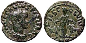 ROMANE PROVINCIALI - Treboniano Gallo (251-253) - AE 25 (Viminacium) - Busto laureato e drappeggiato a d. /R La Moesia stante tra toro e leone; in ese...