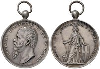 MEDAGLIE - SAVOIA - Vittorio Emanuele II Re d'Italia (1861-1878) - Medaglia 1865 - Guerre d' Indipendenza e Unità d' Italia - Testa a s. /R L'Italia t...