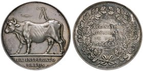 MEDAGLIE ESTERE - FRANCIA - Luigi XVIII (1814-1824) - Medaglia 1814 - Vaccinations municipals AG Sul bordo ARGENT
SPL+