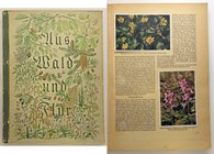 LIBRI VARI - ALBUM E FIGURINE Aus Wald und Flur, 1937, pag. 128 con molte figurine di piante e fiori
Discreto